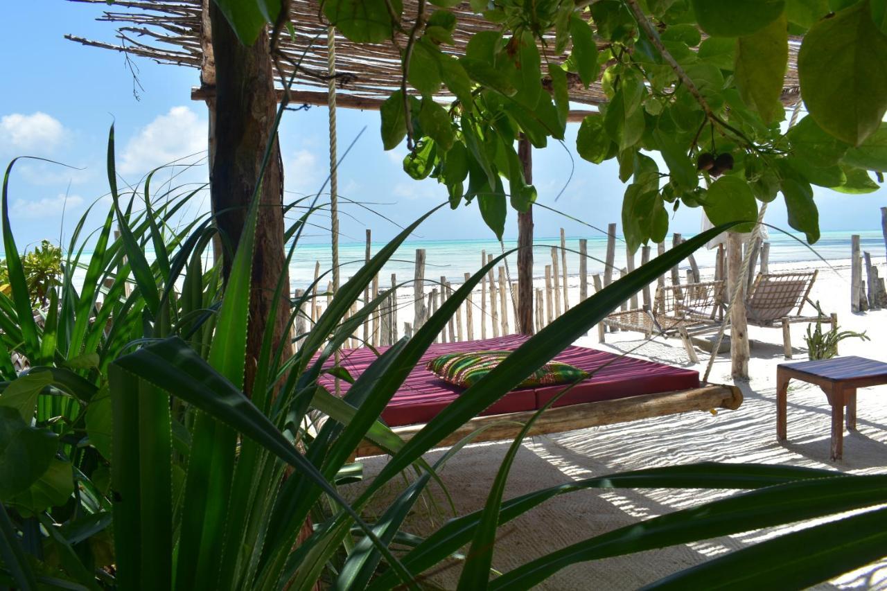 Meliks Hotel Jambiani  Kültér fotó